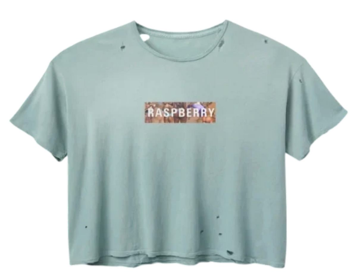 GV Gallery Raspberry BBL Box Logo T Shirt