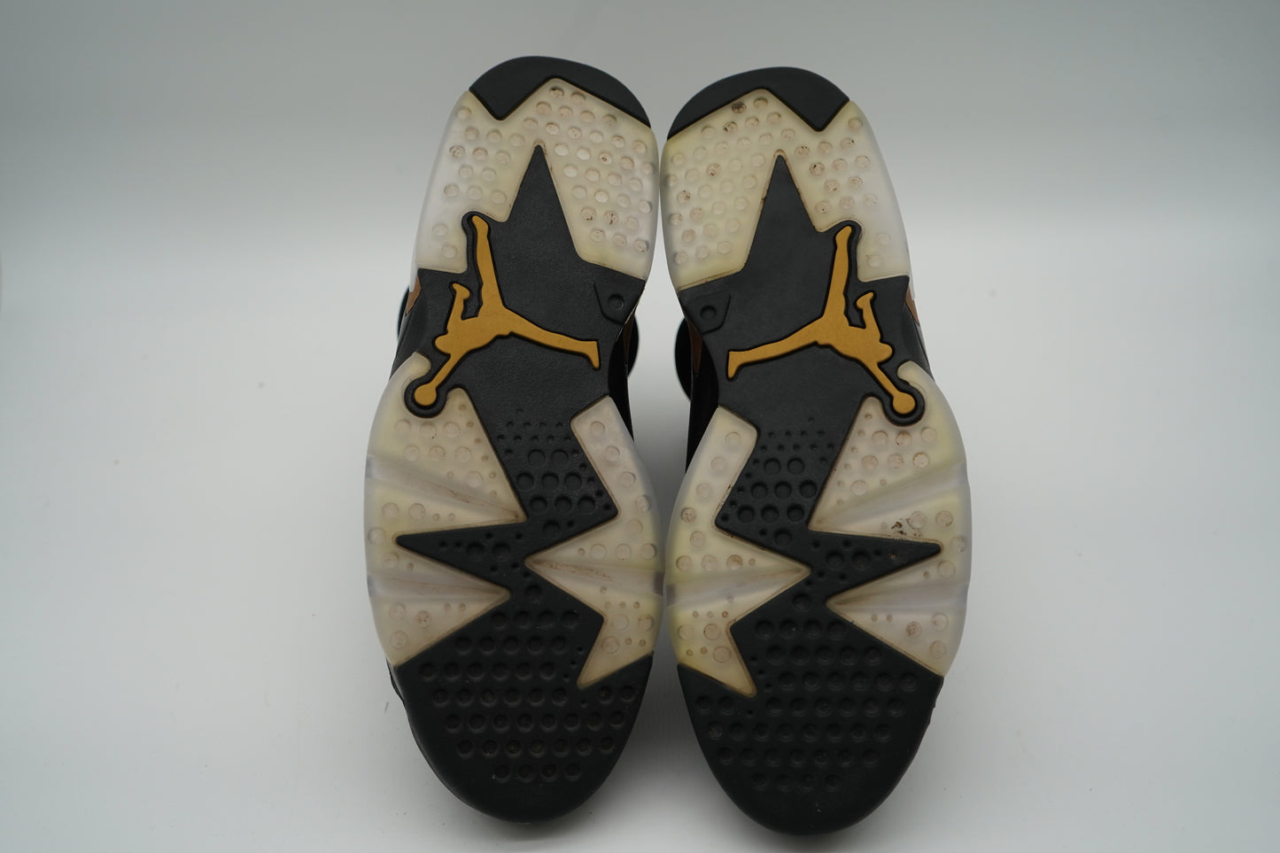 Jordan 6 Retro DMP (2020)