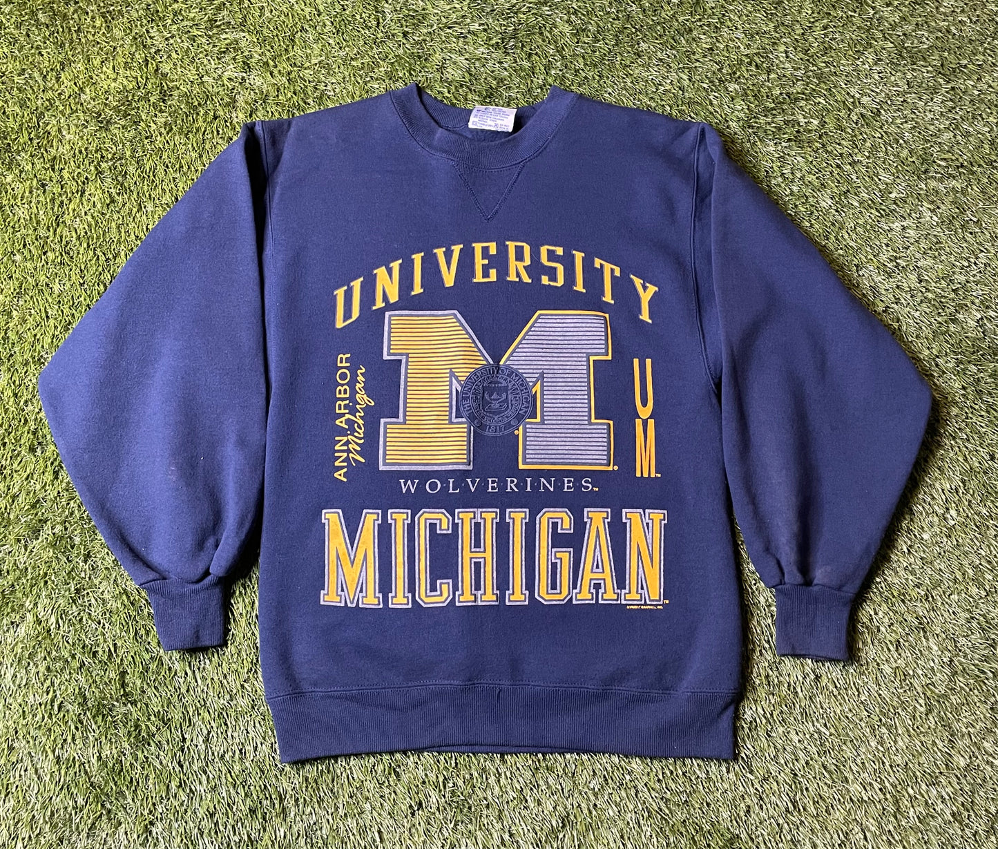 Vintage 90's Michigan Ann Arbor Crewneck