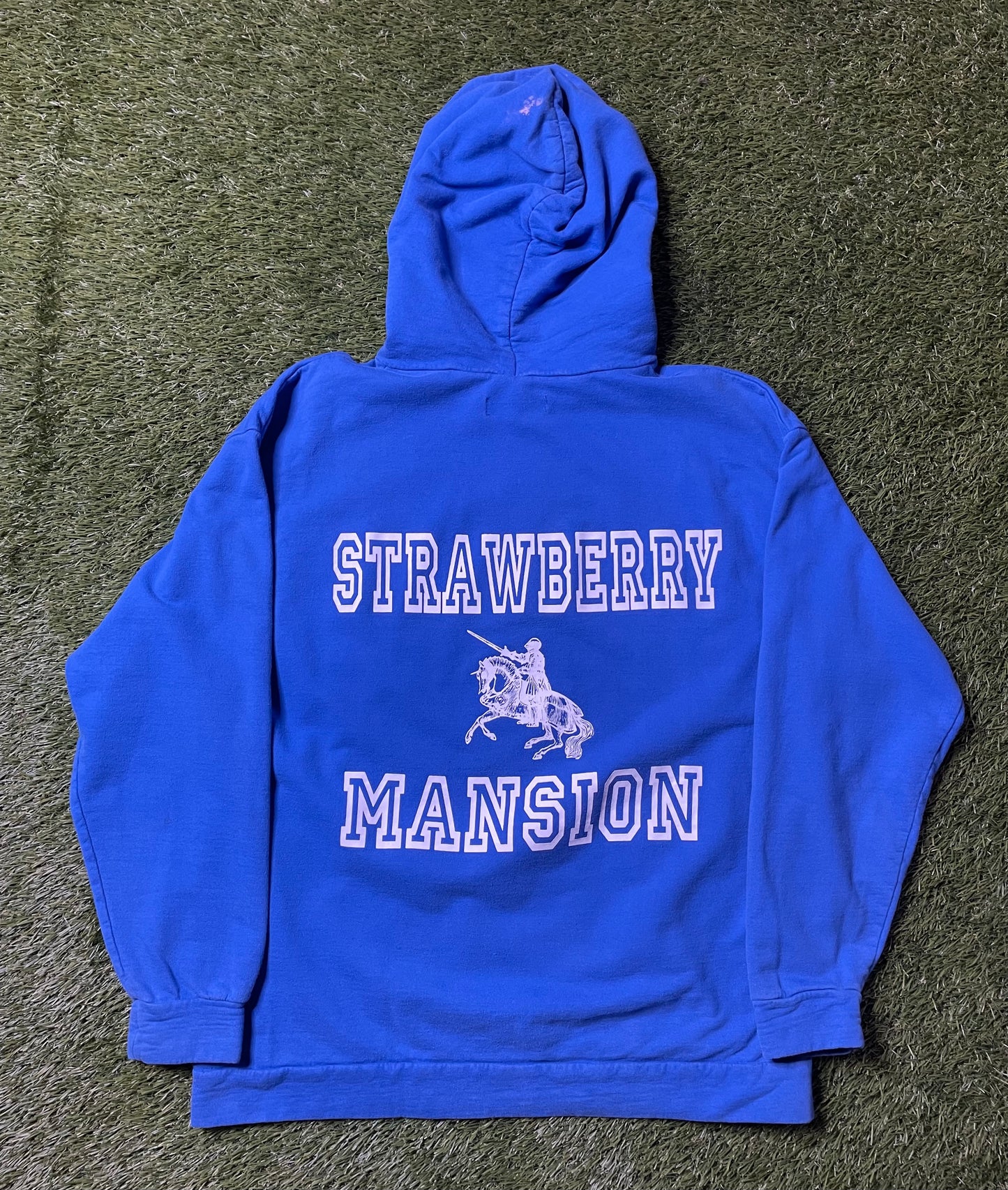 Strawberry Mansion Hoodie