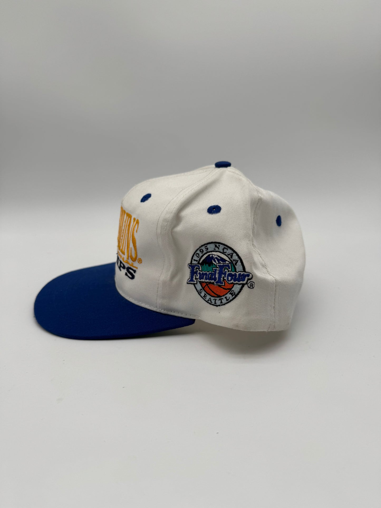 Vintage 1995 UCLA Bruins National Champs Strapback Hat