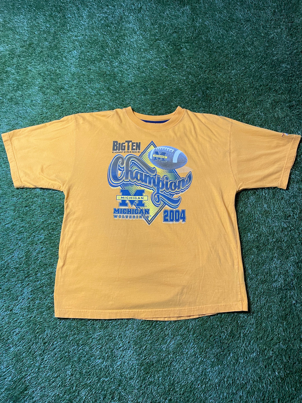 Vintage 2004 Michigan T Shirt