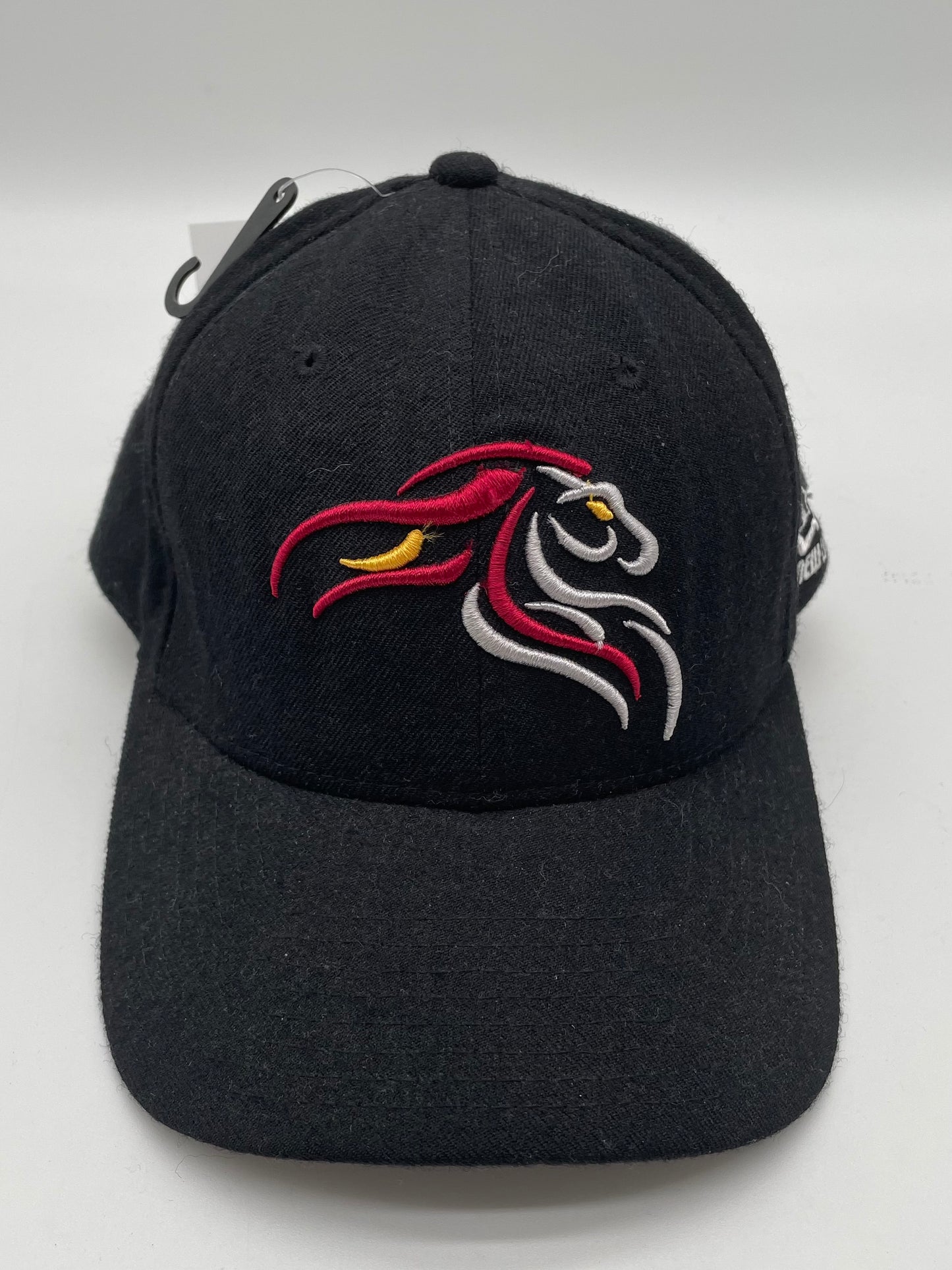 Vintage Detroit Pistons Logo New Era Hat