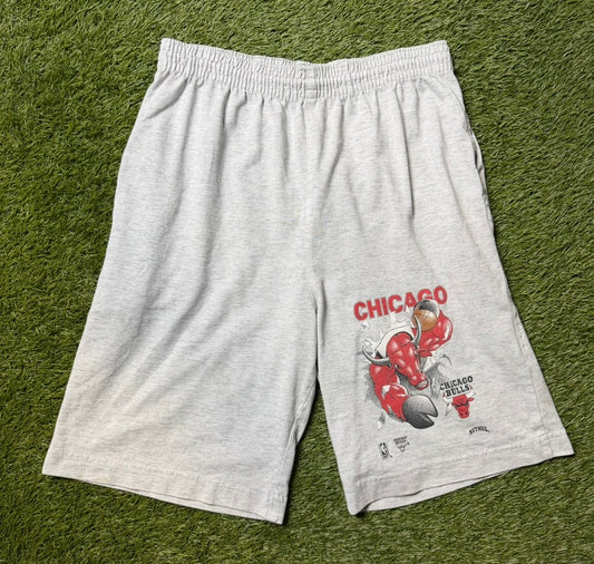 Vintage Nutmeg Chicago Bulls Shorts