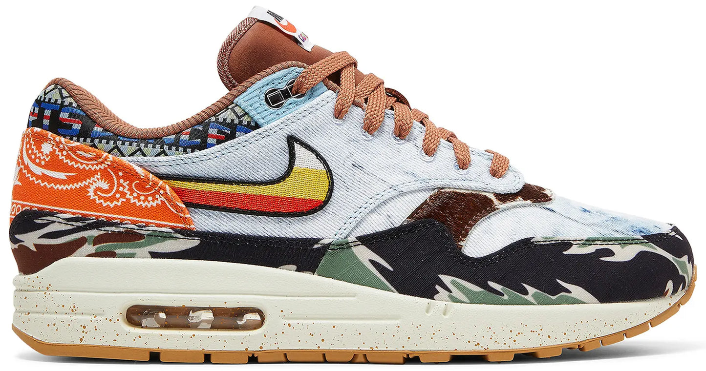 Nike Air Max 1 SP Concepts Heavy