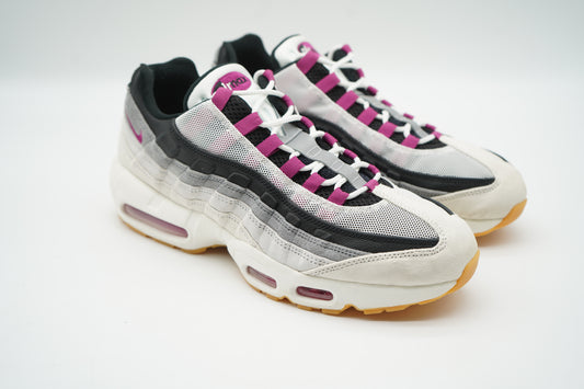 Nike Air Max 95 SB Cactus Flower