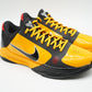 Nike Kobe 5 Protro Bruce Lee
