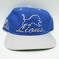 Vintage 90's Detroit Lions Helmet Snapback Hat