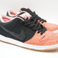 Nike SB Dunk Low Premier Fish Ladder