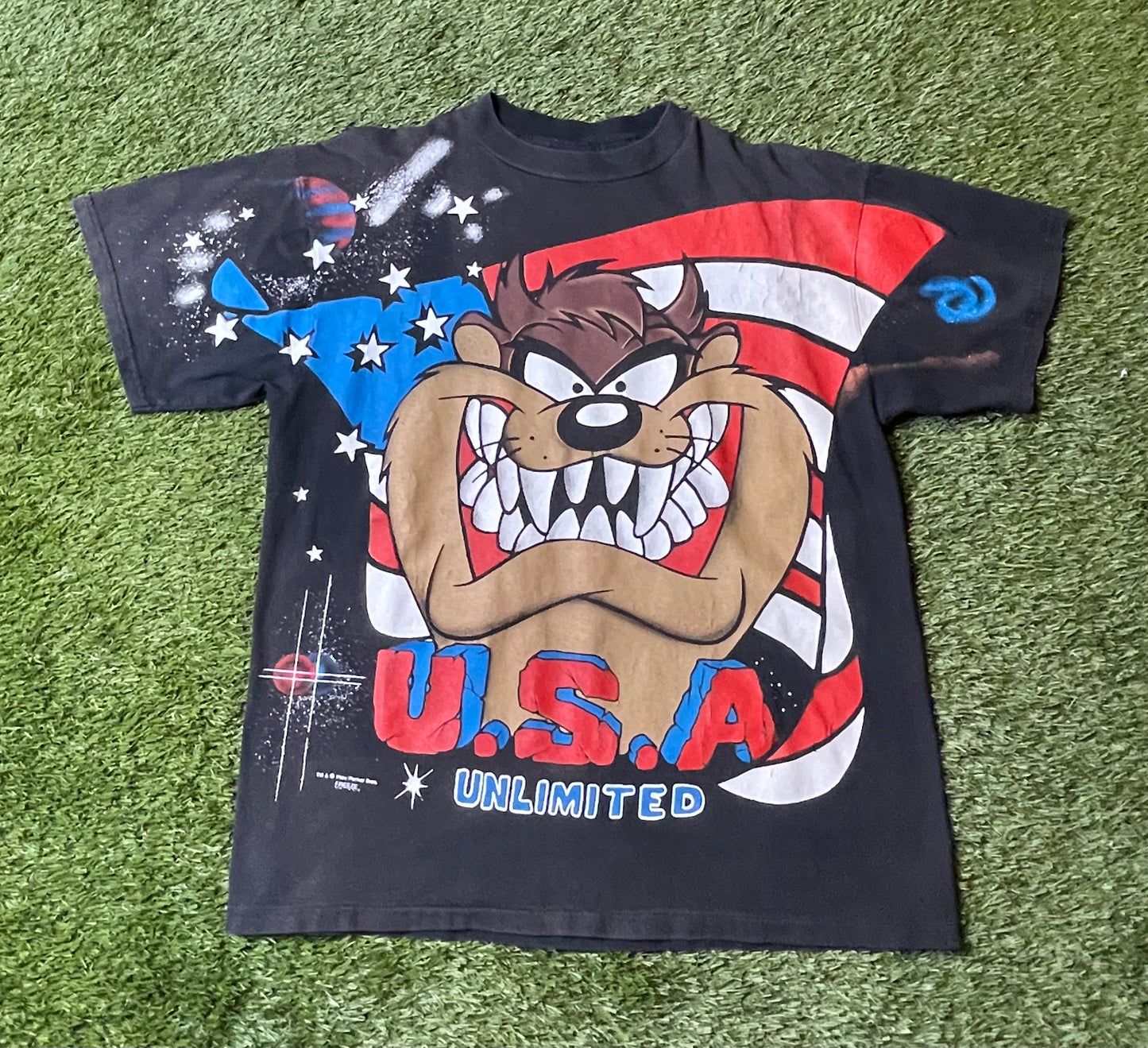 Vintage 1995 Taz USA T Shirt