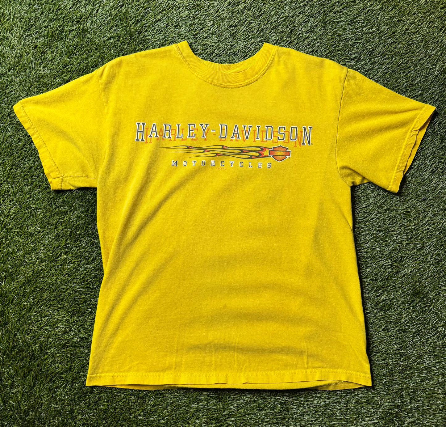 Vintage 2006 Harley Davidson T Shirt