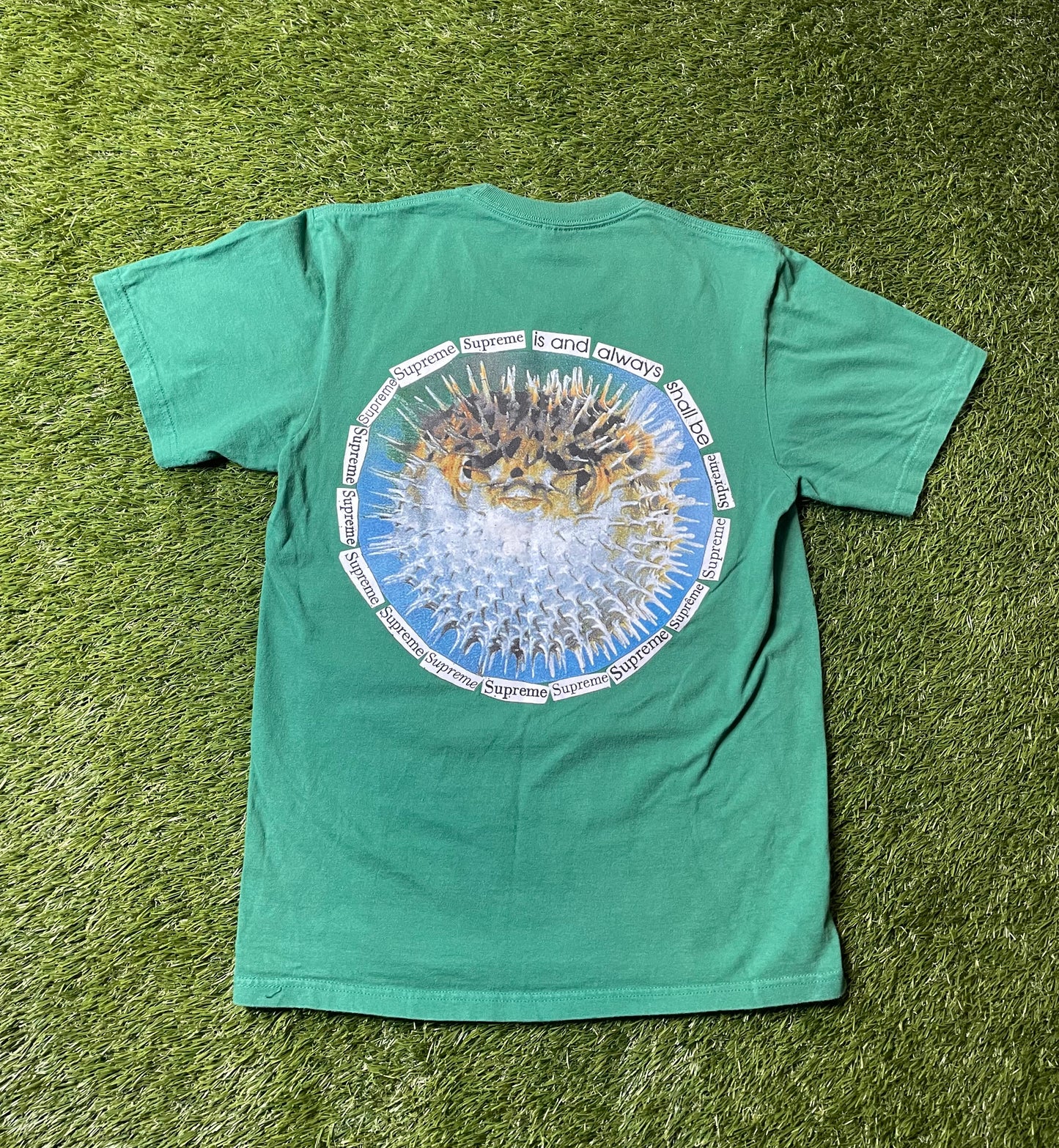 Supreme Puffer Fish Green T Shirt
