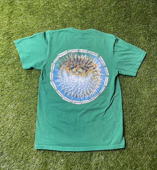 Supreme Puffer Fish Green T Shirt