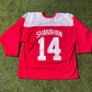 Vintage Detroit Red Wings Brenden Shanahan Jersey