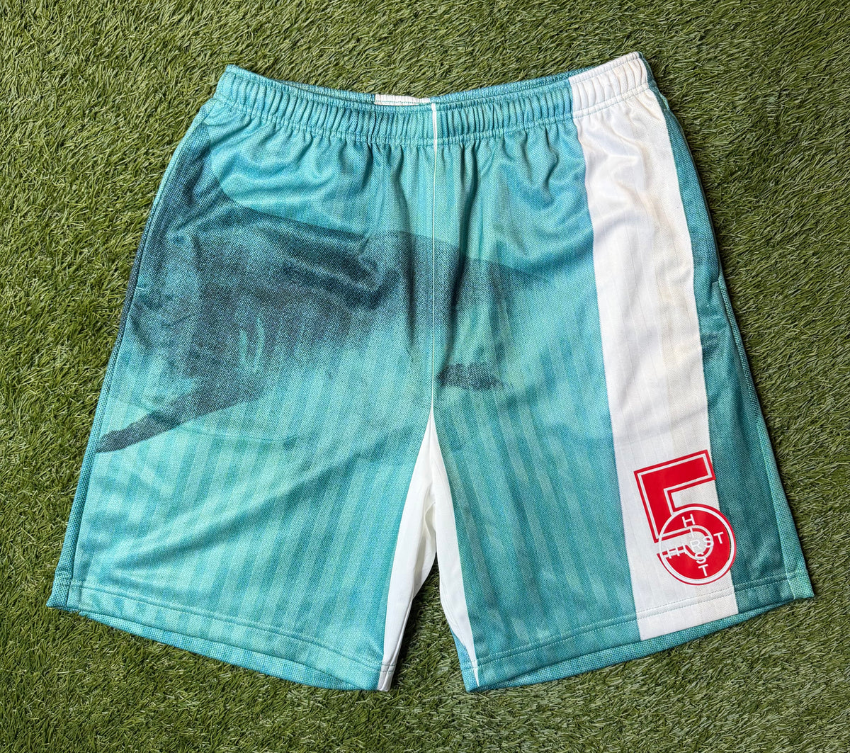 Supreme Damien Hirst Soccer Shorts