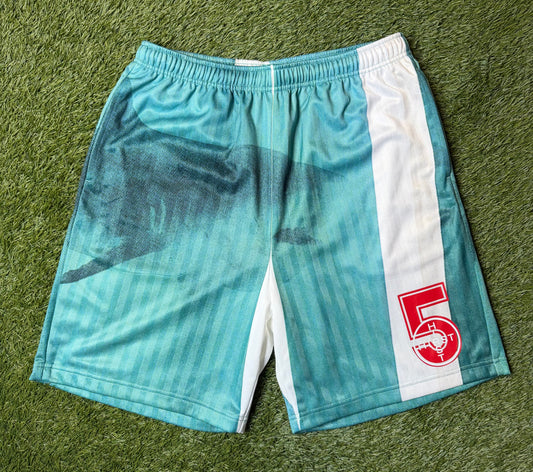 Supreme Damien Hirst Soccer Shorts