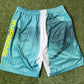 Supreme Damien Hirst Soccer Shorts