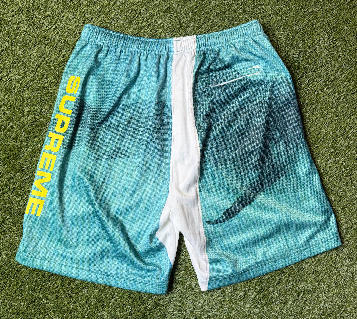 Supreme Damien Hirst Soccer Shorts
