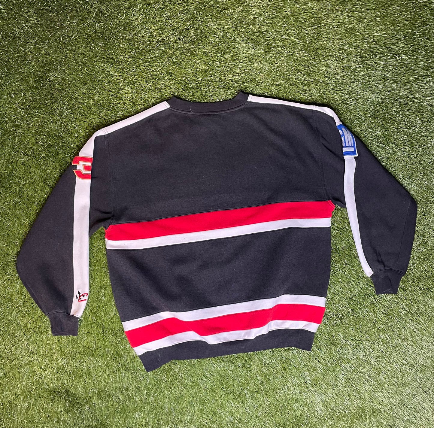 Vintage 90's Dale Earnhardt Crewneck