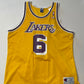 Vintage Eddie Jones Lakers Champion Jersey