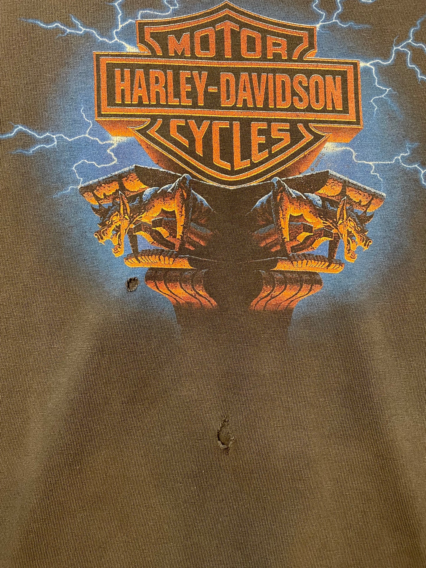 Vintage Harley Davidson T Shirt