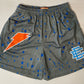 Eric Emanuel x Gatorade EE Shorts