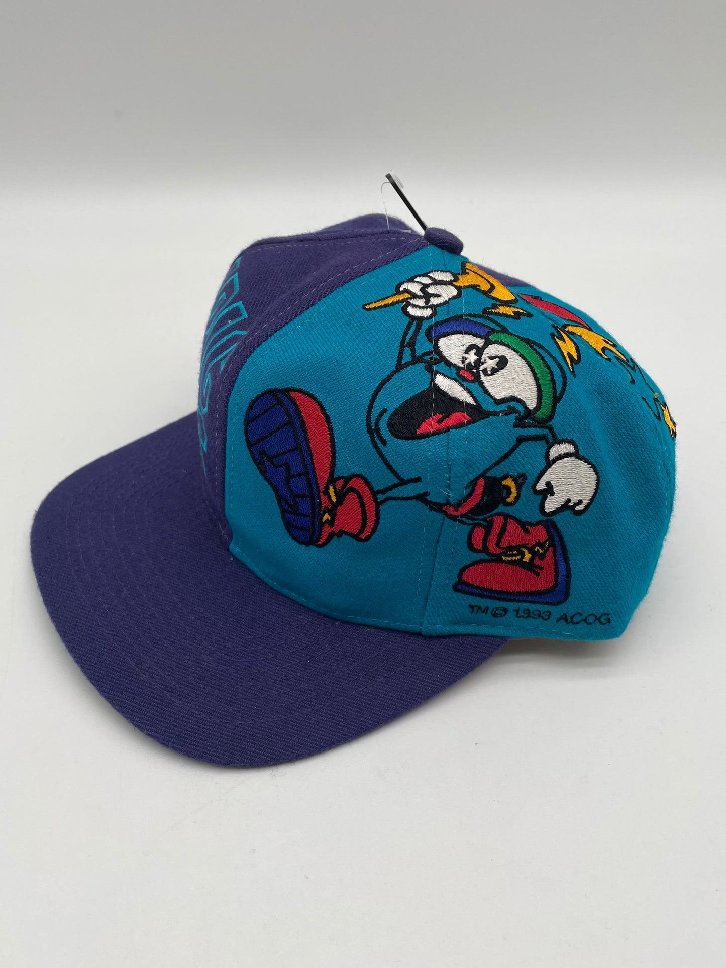 Vintage Charlotte Hornets Olympic Games Collection Hat