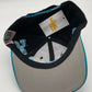 Vintage Apex Carolina Panthers Hat