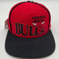 Vintage Chicago Bulls Numbered Hat