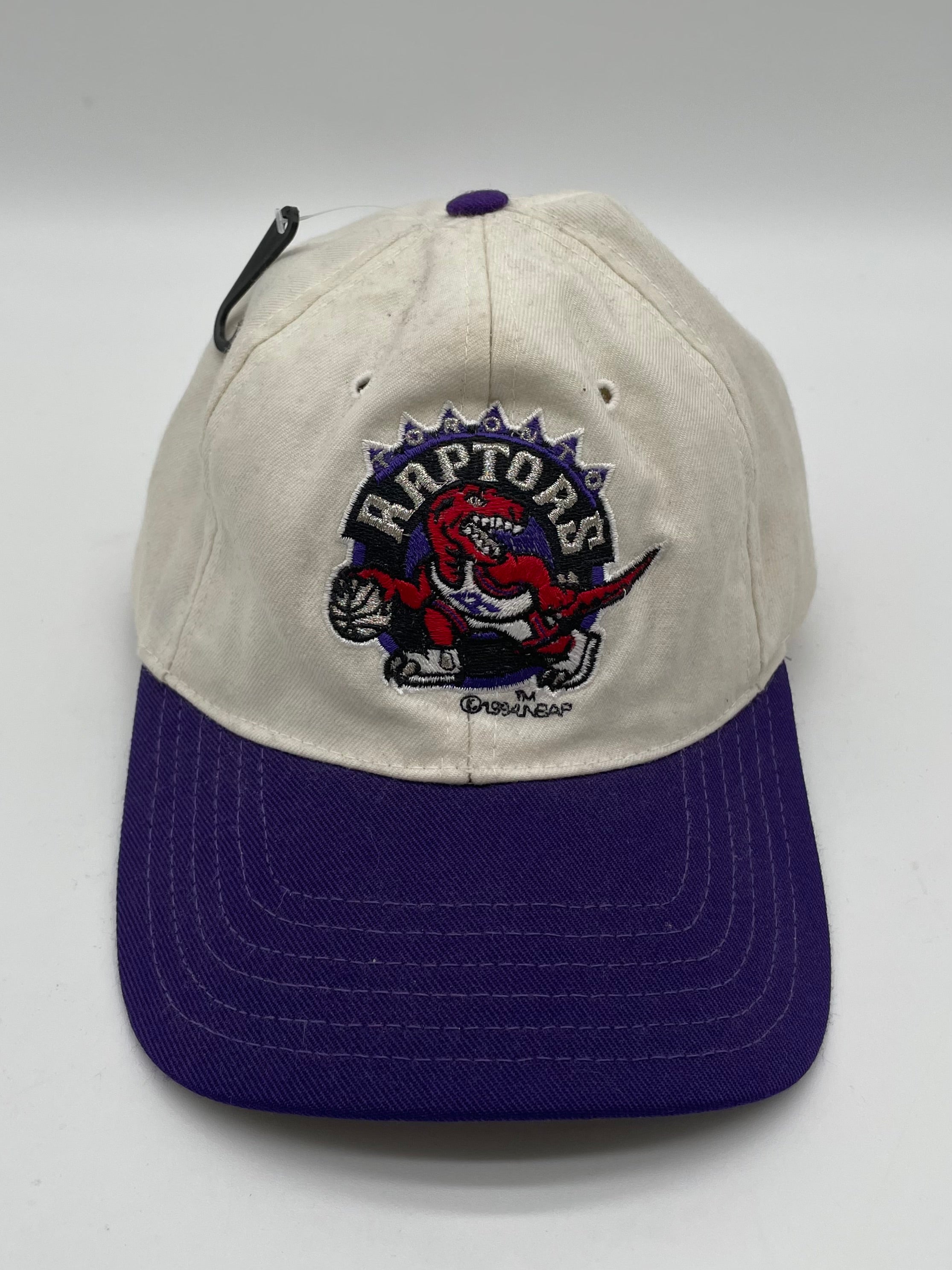 Eastern Raptors Hat Vintage 1994 Toronto Raptors Hat – Thevintagevaultclawson