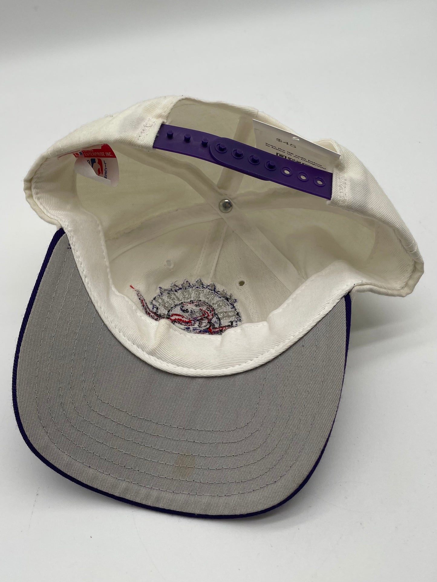 Vintage 1994 Toronto Raptors Hat