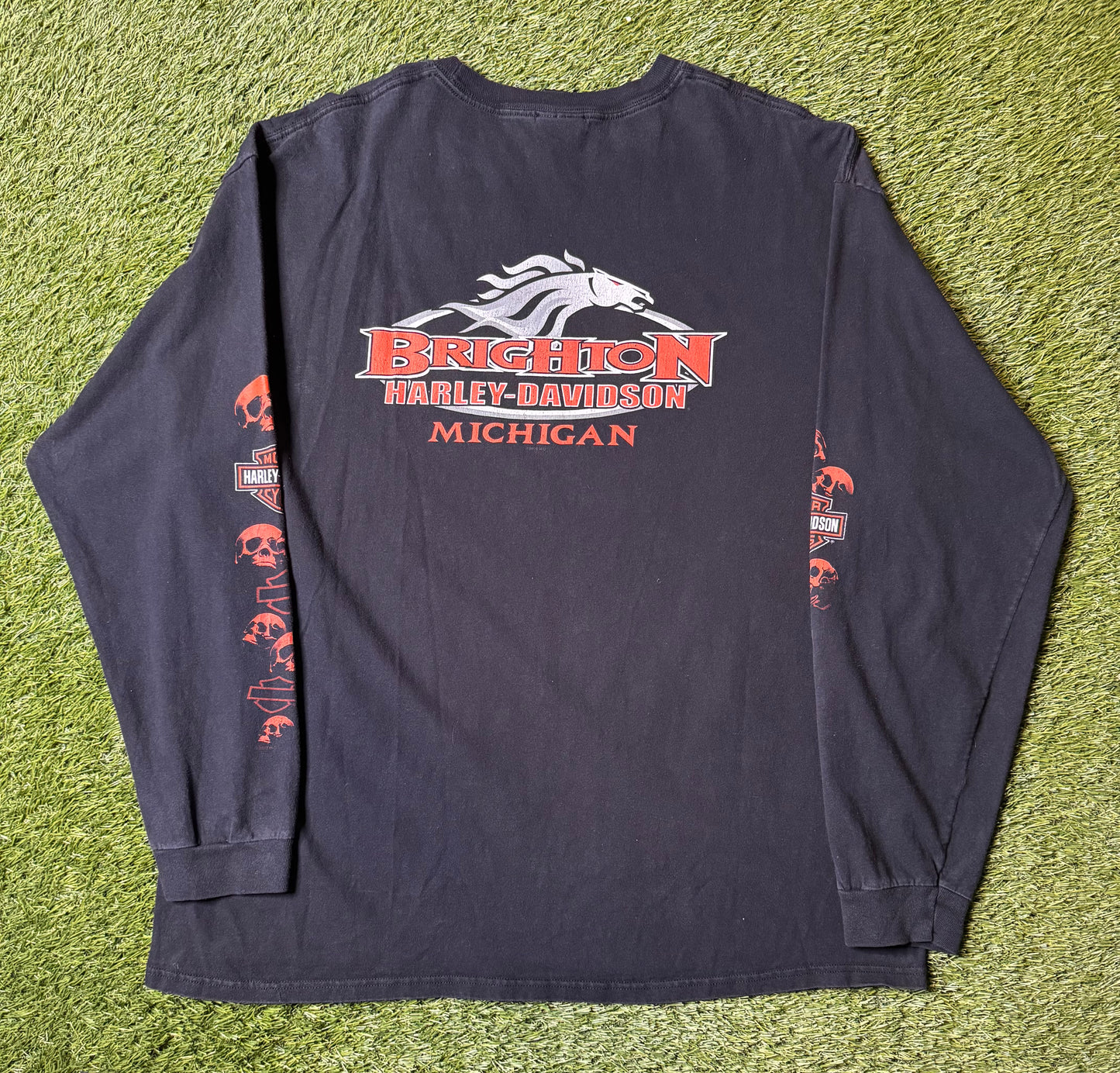 Vintage 2011 Harley Davidson Skull L/S
